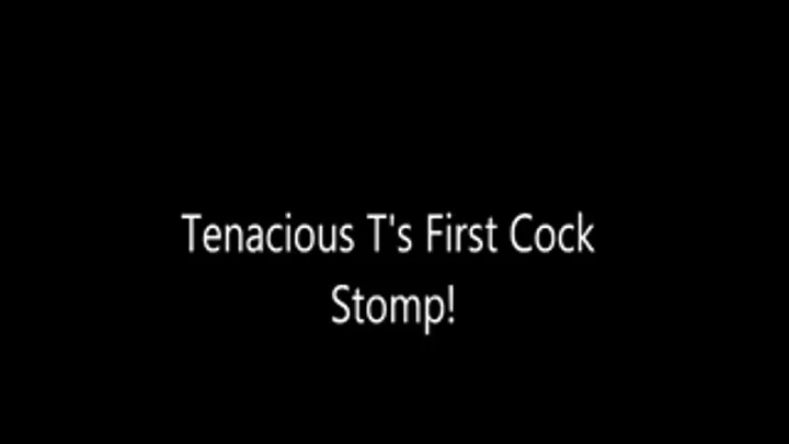 Tenacious Ts Cock Stomp