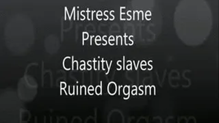 Chastity slaves ruined orgasm