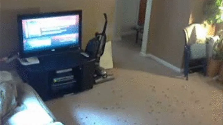 Vacuuming 2 PC