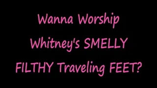 Worship Miss Whitney's Smelly Filthy Travel Feet