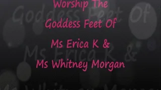 Worship The Goddess Feet of Ms Erica K & Ms Whitney Morgan 729 mp4