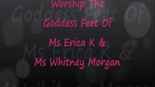 Worship The Goddess Feet of Ms Erica K & Ms Whitney Morgan 729 wmv