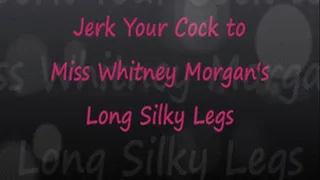 Whitney's Long Silky Legs