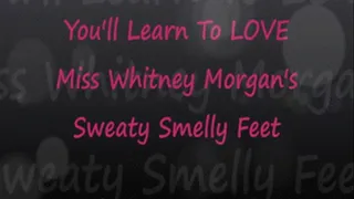Learn To Love Whitneys Sweaty Smelly Feet