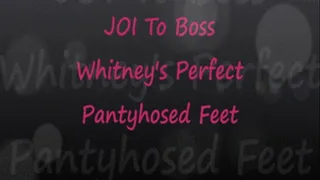 JOI to Boss Whitney's Pantyhose Feet