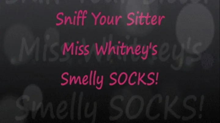 Sniff Sitter Miss Whitney's Smelly Socks POV