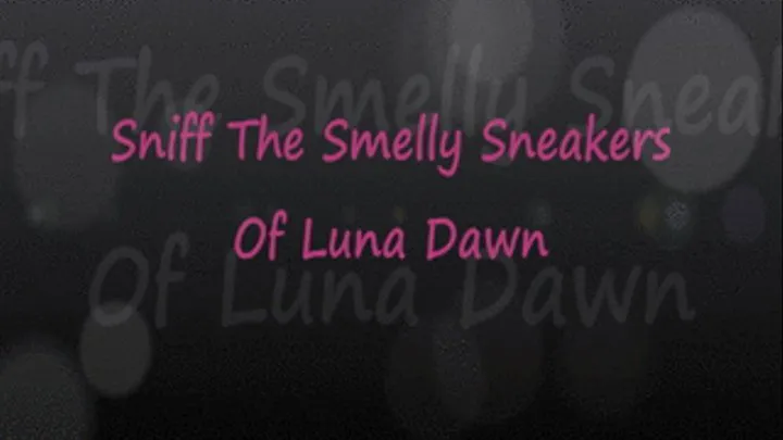 Sniff The Smelly Sneakers of Luna Dawn