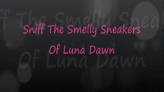 Sniff The Smelly Sneakers of Luna Dawn