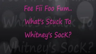 Fee Fii Foo Fum What's Stuck To Whitney's Socks?