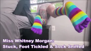 Miss Whitney Morgan: Stuck, Foot Tickled, Sock Sniffed