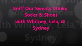 Sniff Our Sweaty Stinky Socks & Shoes