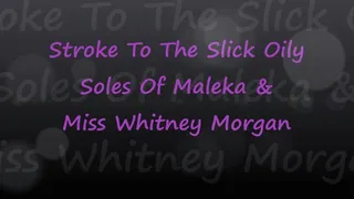Stroke To Slick Oily Soles Of Maleka & Whitney Morgan