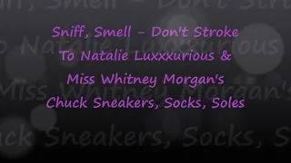 Miss Whitney Morgan & Natalie Luxxx: Sniff No Stroke to Chucks Socks Soles