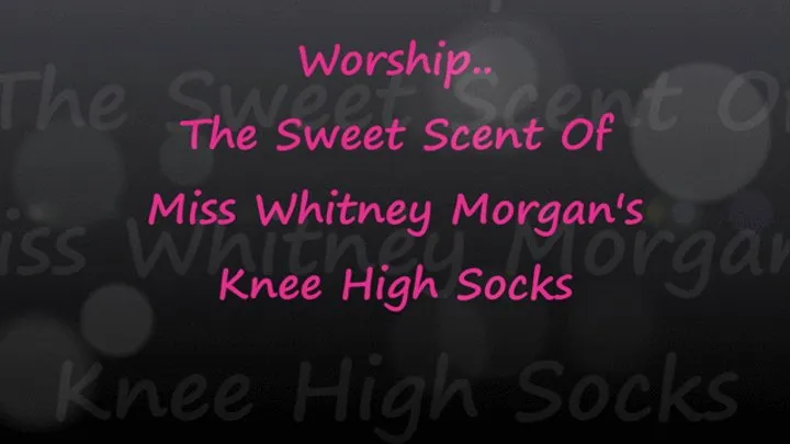 Worship Sweet Scent of Whitney's Knee High Socks