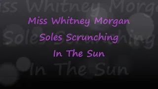 Miss Whitney Morgan: Soles Scrunching In The Sun