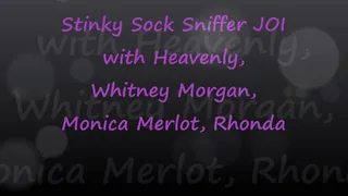 Stinky Sock Sniffer JOI: Heavenly Whitney Monica Rhonda