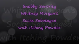 Snobby Sorority Whitney's Socks Sabotaged with Itching Powder