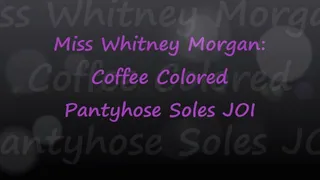 Whitney Morgan: Coffee Berkshire Pantyhose Soles JOI