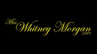 Miss Whitney Morgan: Sheer Black Pantyhose Dangle & Ignore