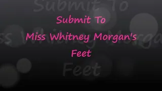 Submit To Miss Whitney Morgan's Feet