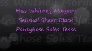 Miss Whitney Morgan: Sensual Sheer Black Pantyhose Soles Tease pt1