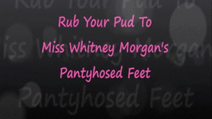 Rub Your Pud To Miss Whit's Pantyhosed Feet