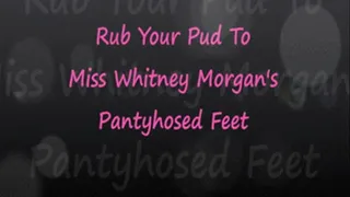 Rub Your Pud To Miss Whit's Pantyhosed Feet