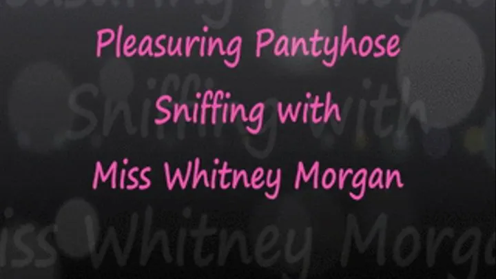 Pleasuring Pantyhose Sniffing with Whitney