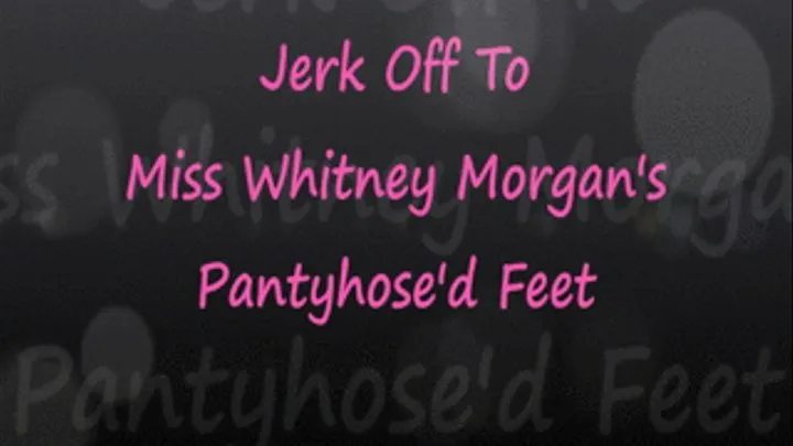 Jerk It To Miss Whitney's Pantyhosed Feet