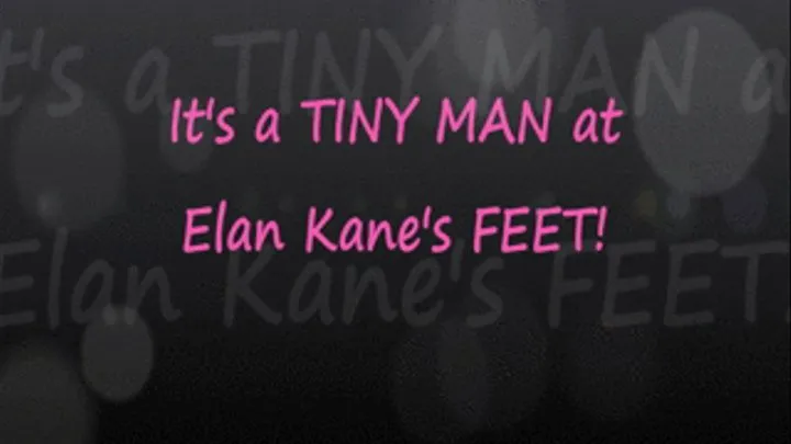 Tiny Man at Elan Kane's Feet