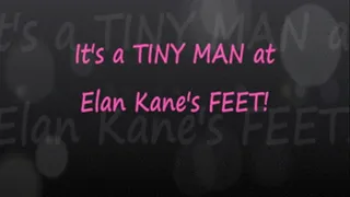 Tiny Man at Elan Kane's Feet