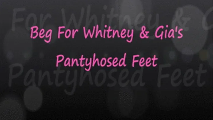 Beg For Whit & Gia's Pantyhosed Feet