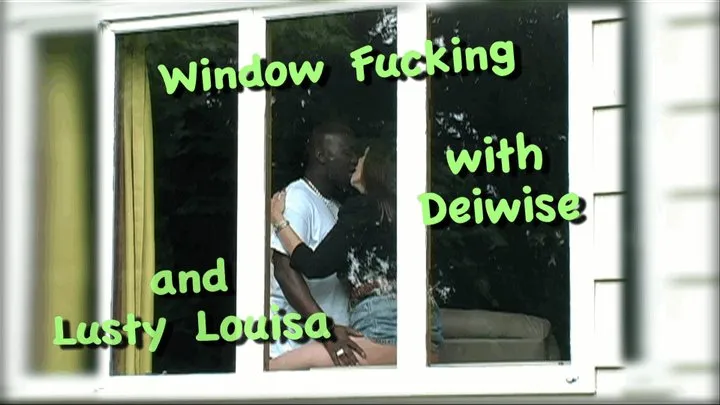 In the Window with D.Wise! - For all devices 480x270