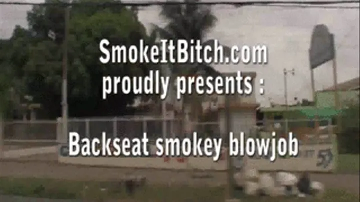 Back seat smokey blowjob