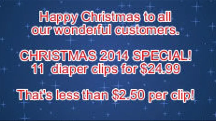 Christmas Diaper Deal-2! WAS $39.99 NOW $24.99