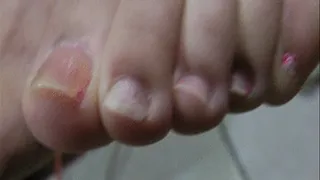 Rosa Foot Show