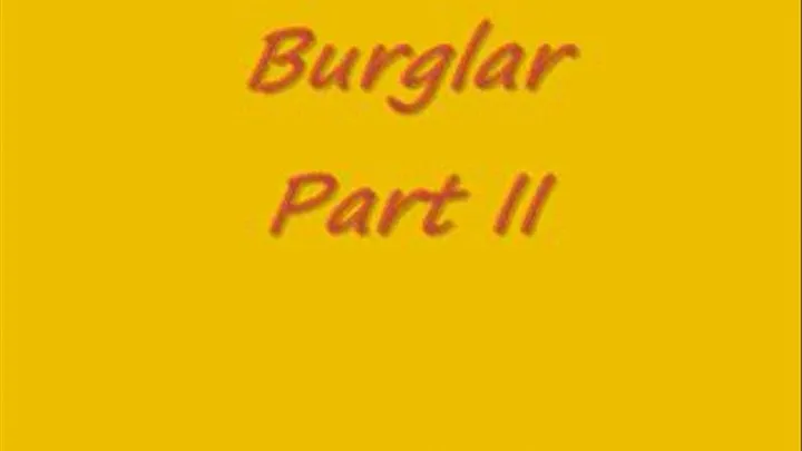 The Burglar Part II