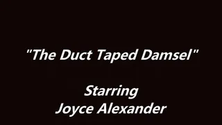 "The Duct Taped Damsel"