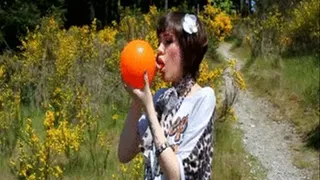 Sunny orange balloon outdoor blow to pop