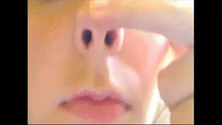 Pig nose and sniffing