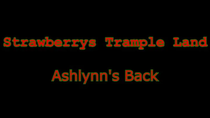 Ashlynn's Back