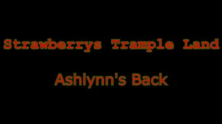 Ashlynn's Back