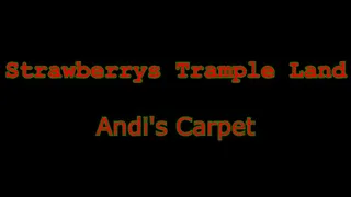Andi's Carpet