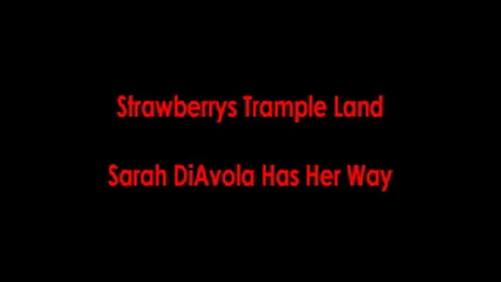 Sarah DiAvola Has Her Way