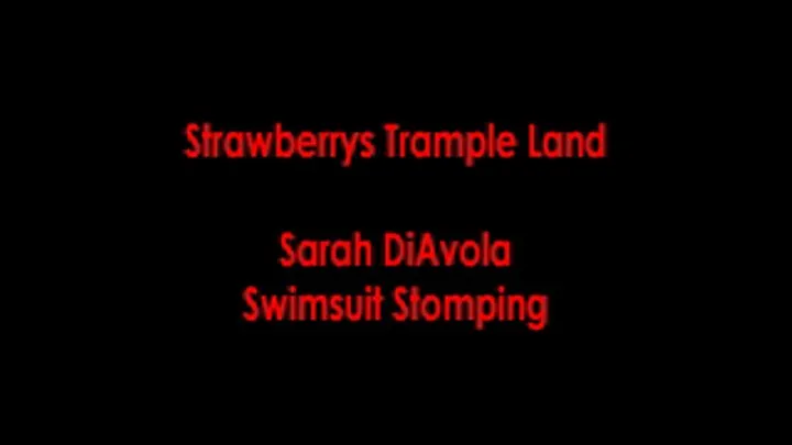 Sarah DiAvola Swimsuit Stomping