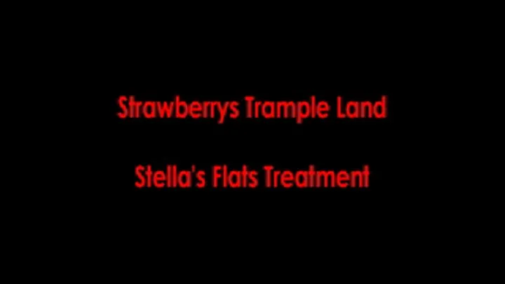 Stella's Flats Treatment