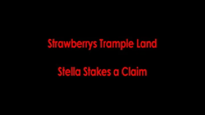 Stella Stakes a Claim