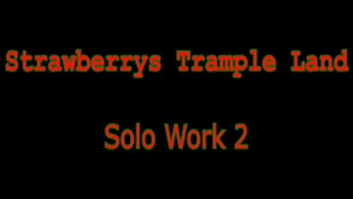 Solo Work 2