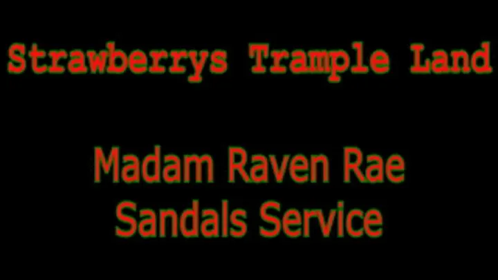 Madam Raven Rae Sandals Service