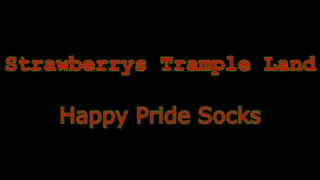 Happy Pride Socks